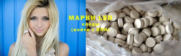 прущие грибы Алзамай