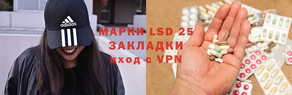 прущие грибы Алзамай