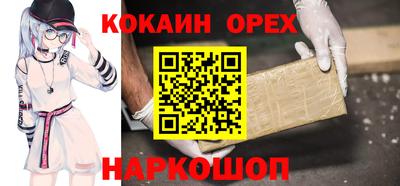 крисы Кулебаки