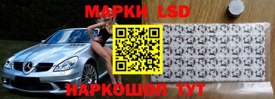 крисы Кулебаки