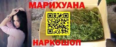 крисы Кулебаки