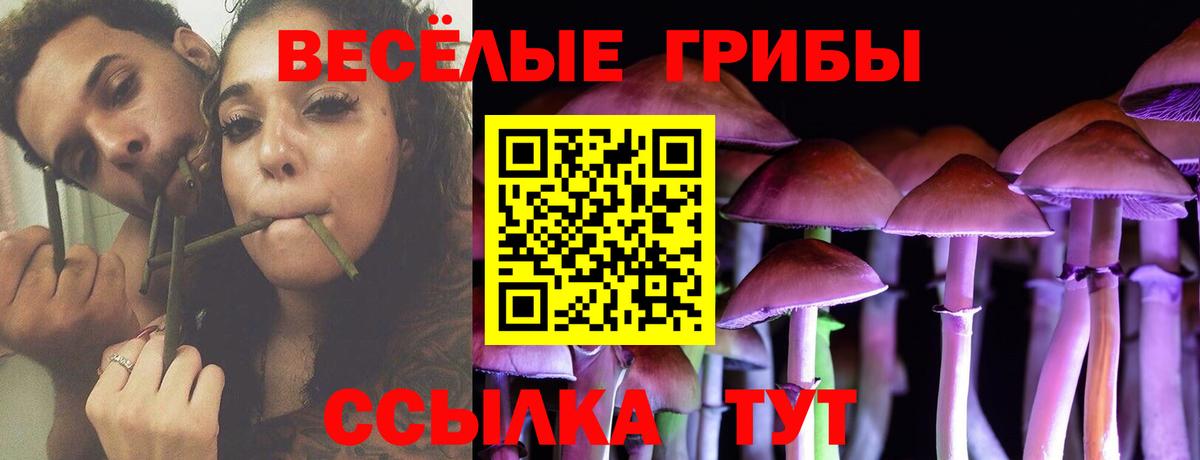 Галлюциногенные грибы Magic Shrooms Керчь